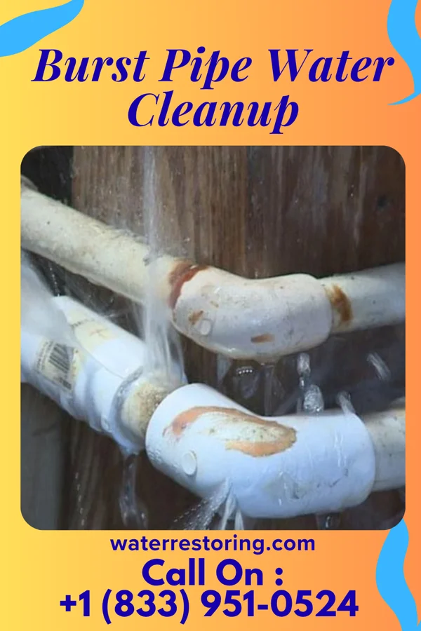Burst Pipe Water Cleanup in Orchard Grass Hills, KY