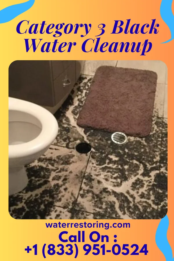 Category 3 Black Water Cleanup in Orchard Grass Hills, KY