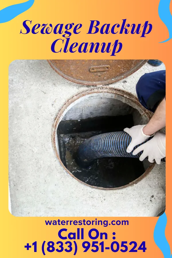 Sewage Backup Cleanup in Orchard Grass Hills, KY