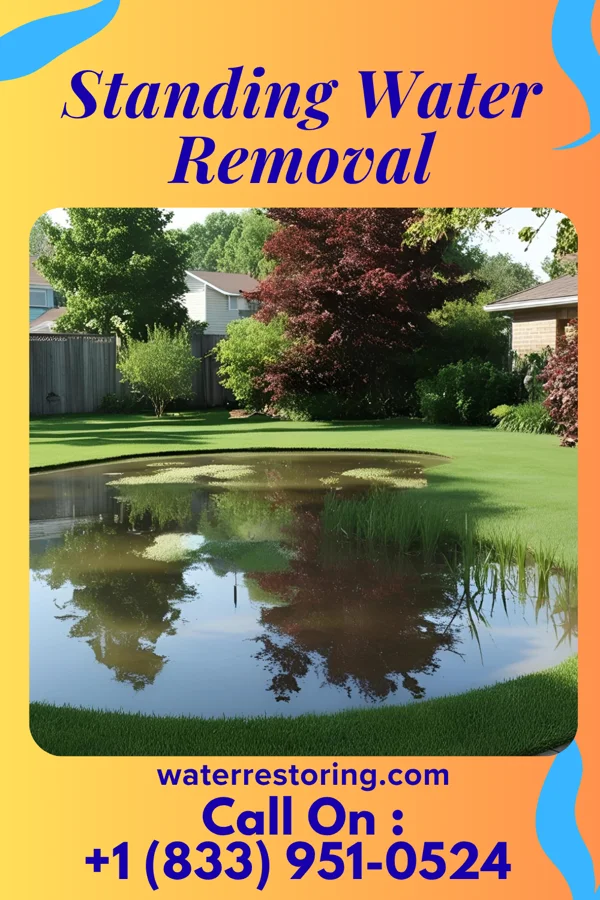 Standing Water Removal in Orchard Grass Hills, KY